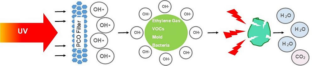 PCO reaction