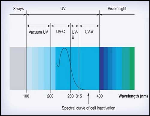 UV Spectrum